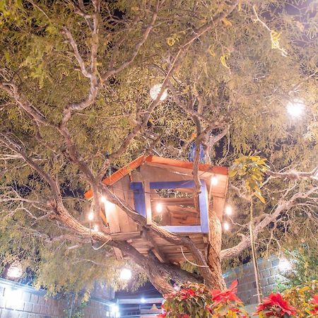 Hotel Casa Del Arbol Берналь Экстерьер фото
