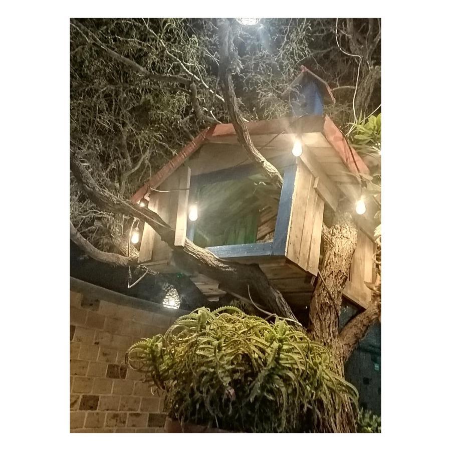 Hotel Casa Del Arbol Берналь Экстерьер фото