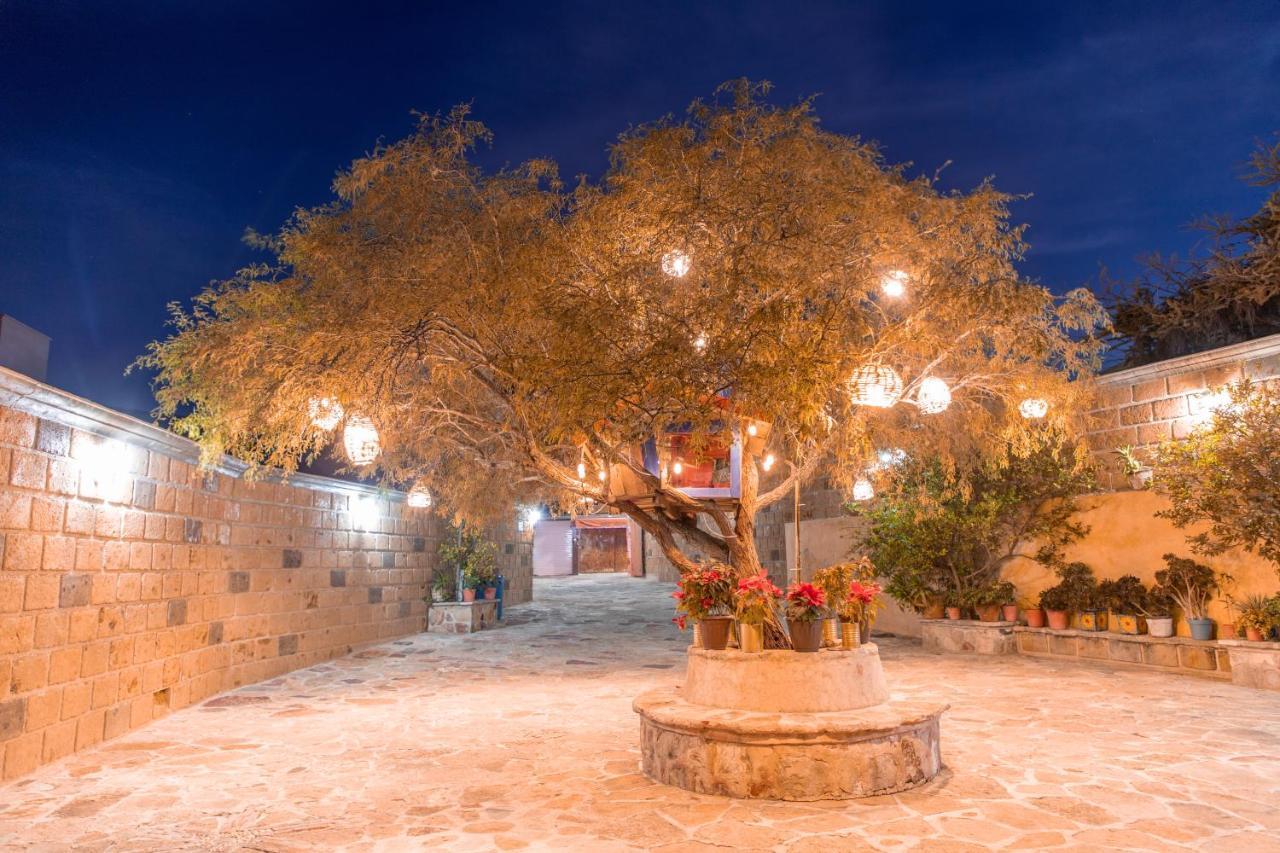 Hotel Casa Del Arbol Берналь Экстерьер фото