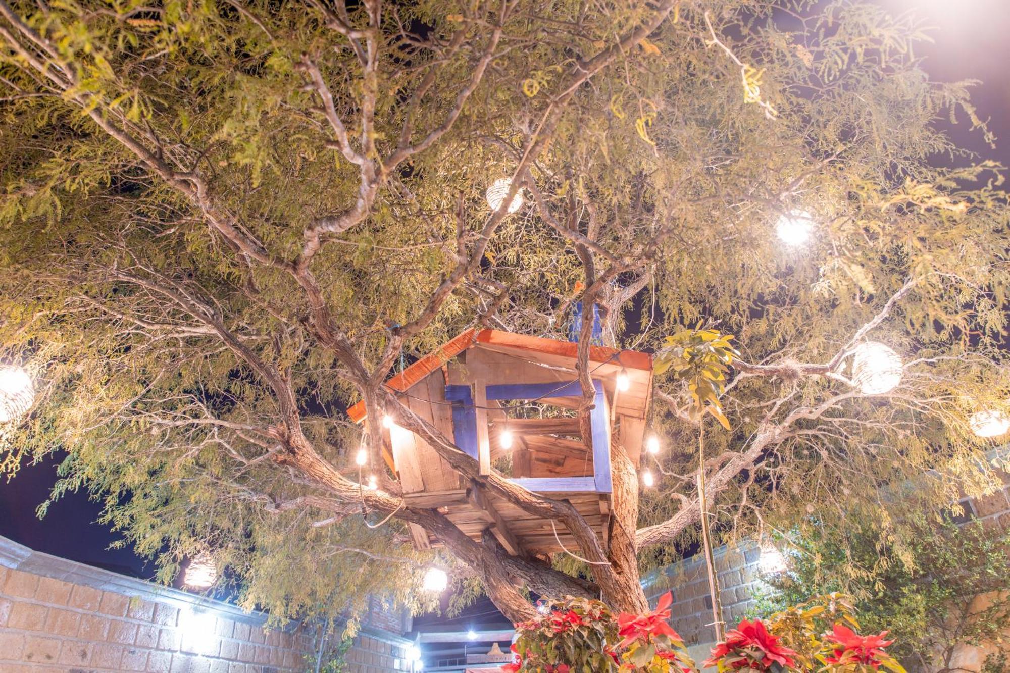 Hotel Casa Del Arbol Берналь Экстерьер фото